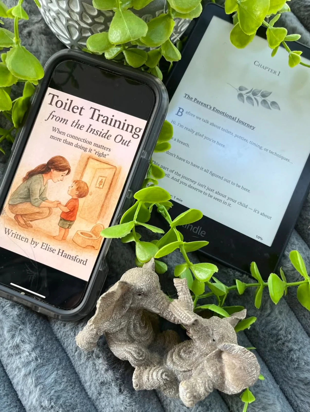 Elise Hansford Toilet Training from the Inside Out decorative layout and cover